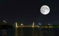 一起讀報-11月15日